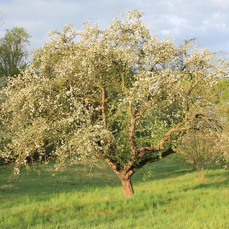 Apfelscheune Cannewitz Feriehus Malschwitz