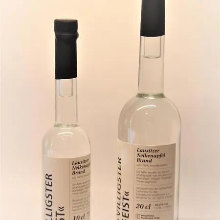 Apfelscheune Cannewitz Holiday home *