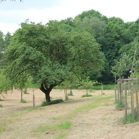 Apfelscheune Cannewitz *