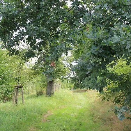 펜션 Apfelscheune Cannewitz Malschwitz