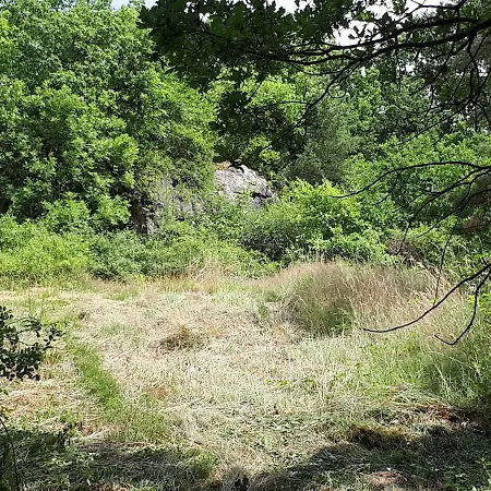 Apfelscheune Cannewitz Holiday home Malschwitz