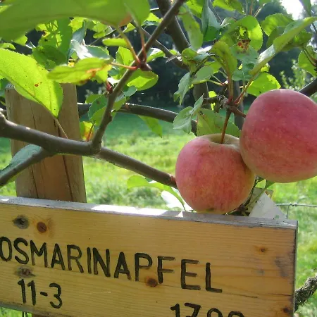 Holiday home Apfelscheune Cannewitz Malschwitz