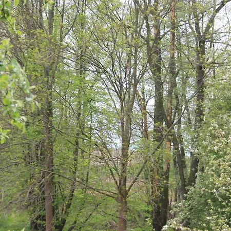 Apfelscheune Cannewitz