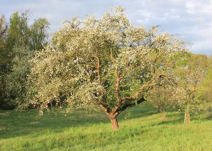 Apfelscheune Cannewitz Σπίτι διακοπών Malschwitz