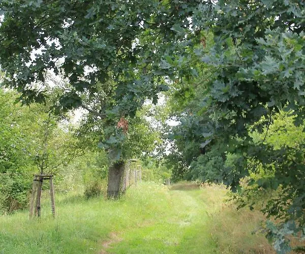 Σπίτι διακοπών Apfelscheune Cannewitz Malschwitz