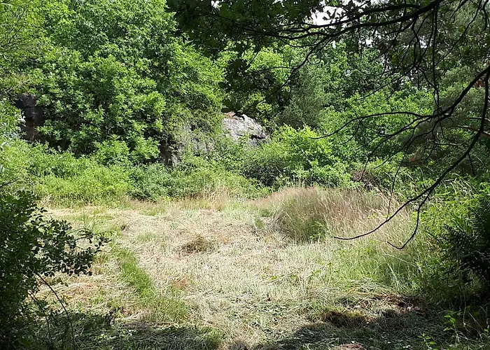 Apfelscheune Cannewitz בית נופש Malschwitz