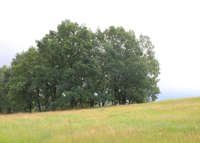 Σπίτι διακοπών Apfelscheune Cannewitz Malschwitz