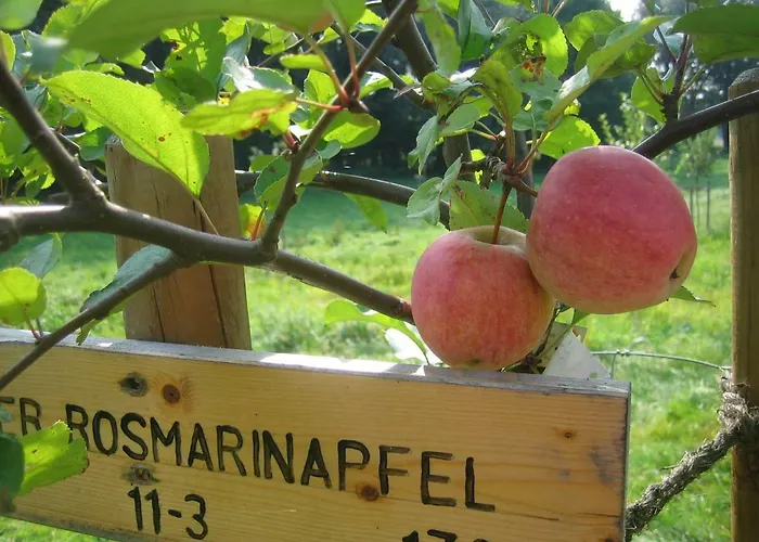 בית נופש Apfelscheune Cannewitz Malschwitz