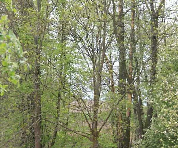 Apfelscheune Cannewitz